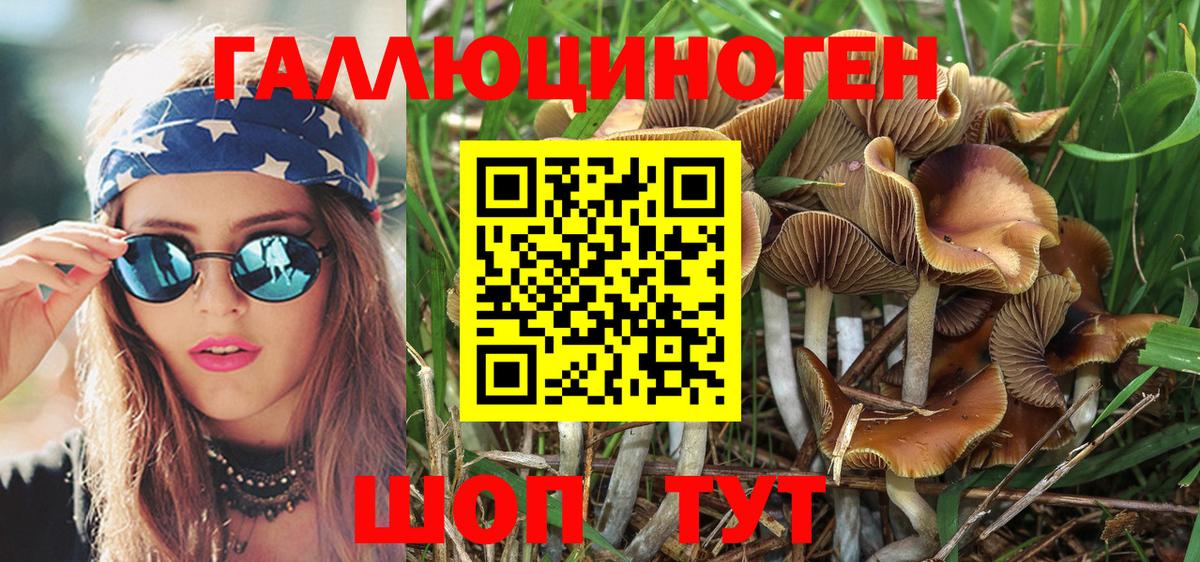 Псилоцибиновые грибы Psilocybe  Вход с VPN  Нижневартовск 